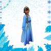 The Ultimate Elsa Birthday Dress and Frozen 2 Accessories Gift Set!
