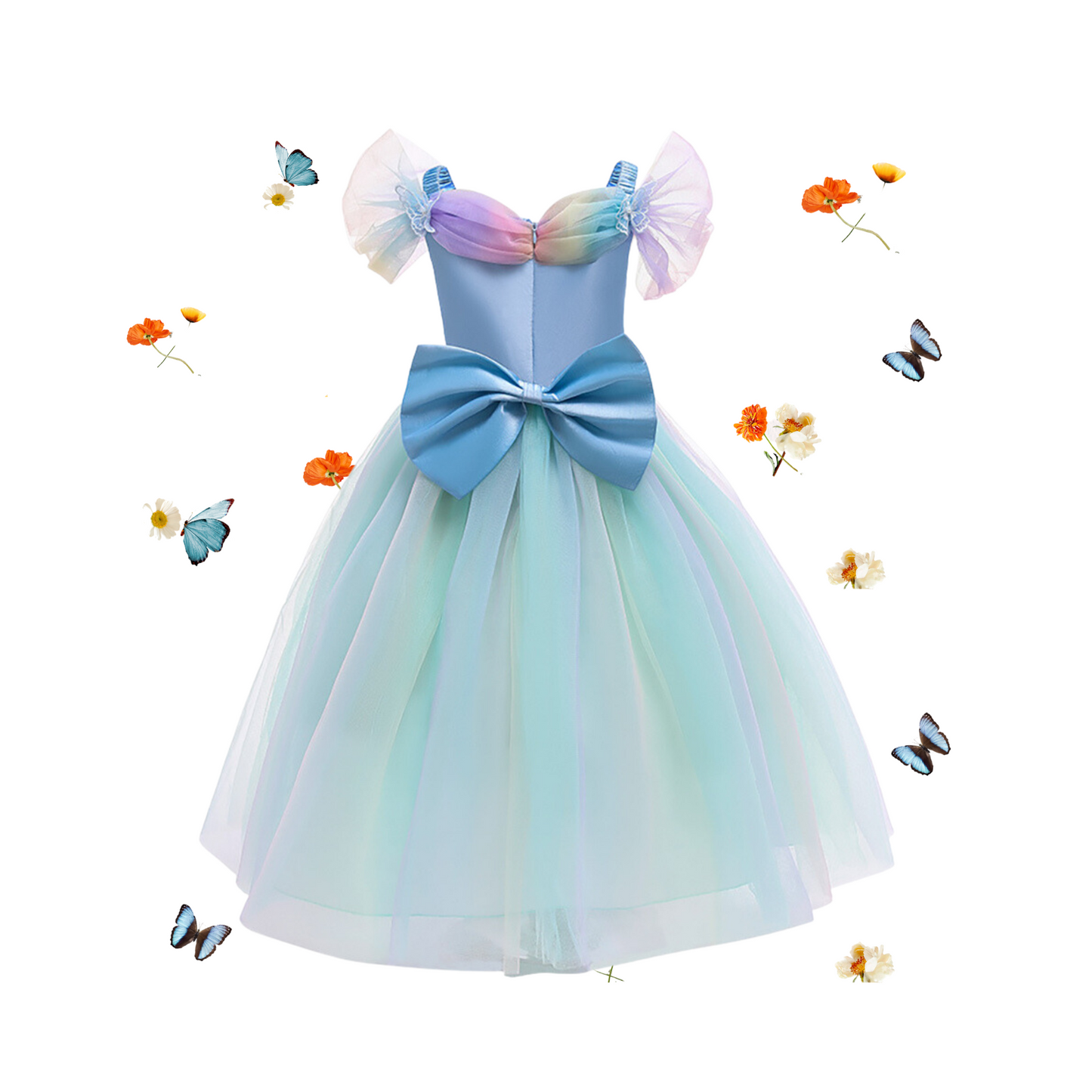 Rainbow Butterfly Cinderella Princess Dress and Accessories