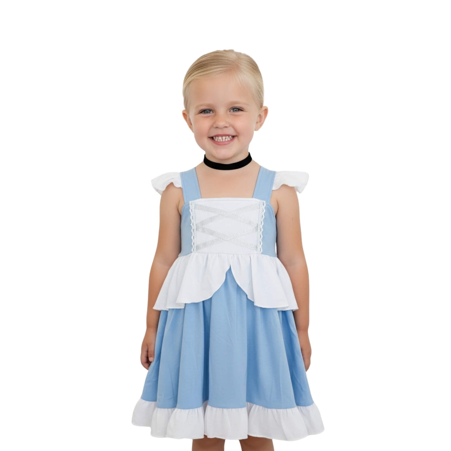 Cinderella Blue and White Costume Everyday Dress