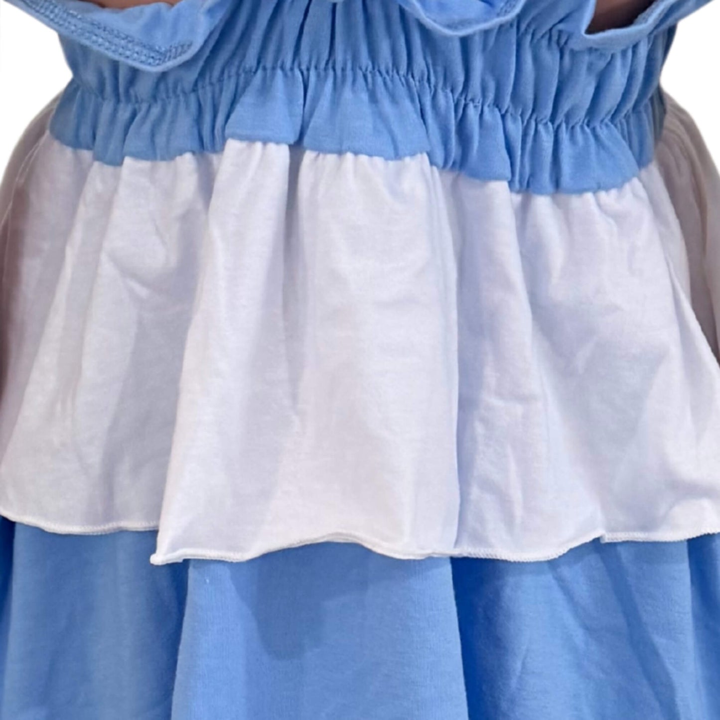 Cinderella Blue and White Costume Everyday Dress