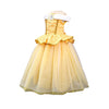 Disney-Inspired Princess Belle Deluxe Dress with Beauty and the Beast Accessories
