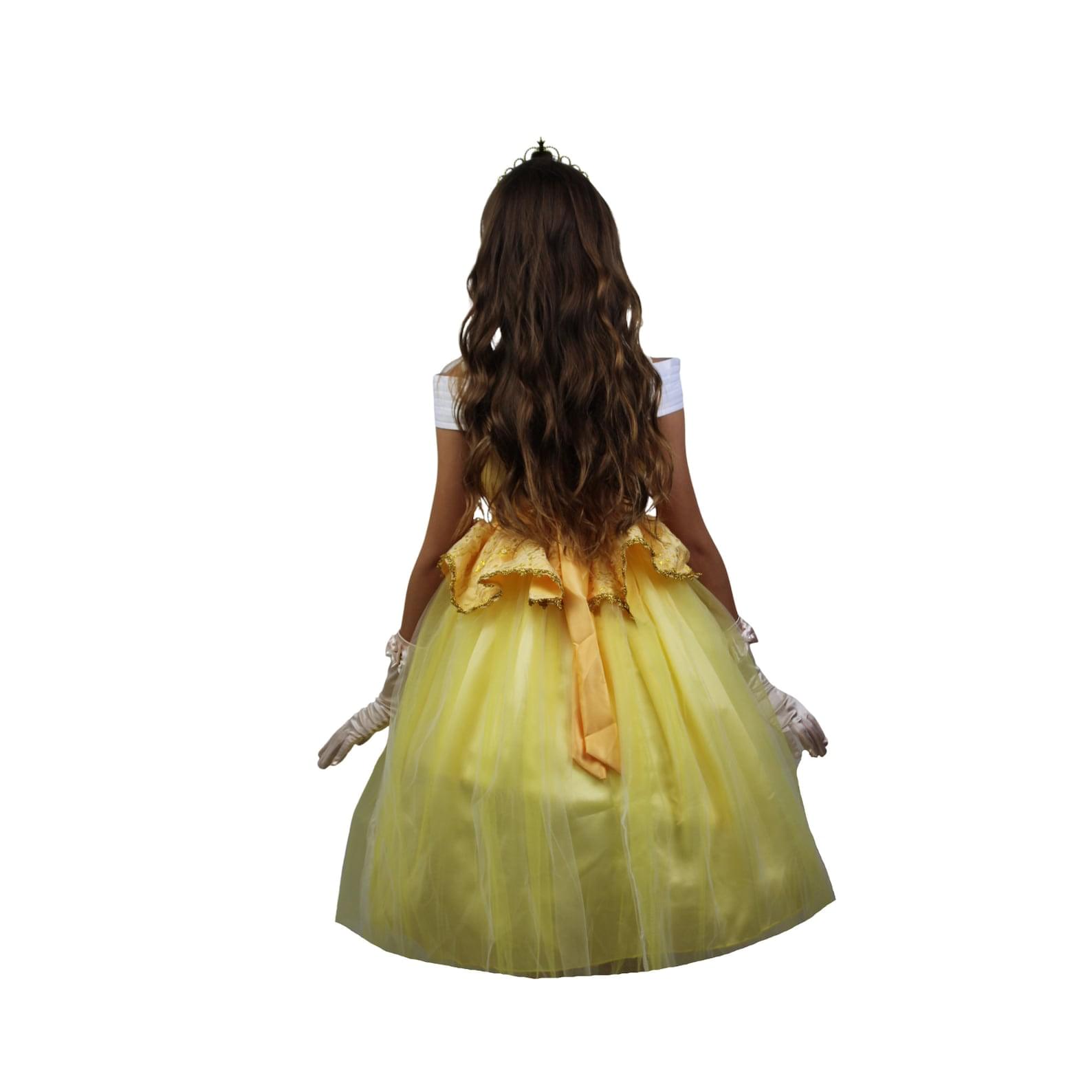 Disney-Inspired Princess Belle Deluxe Dress with Beauty and the Beast Accessories