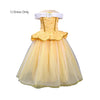 Disney-Inspired Princess Belle Deluxe Dress with Beauty and the Beast Accessories Dress Only