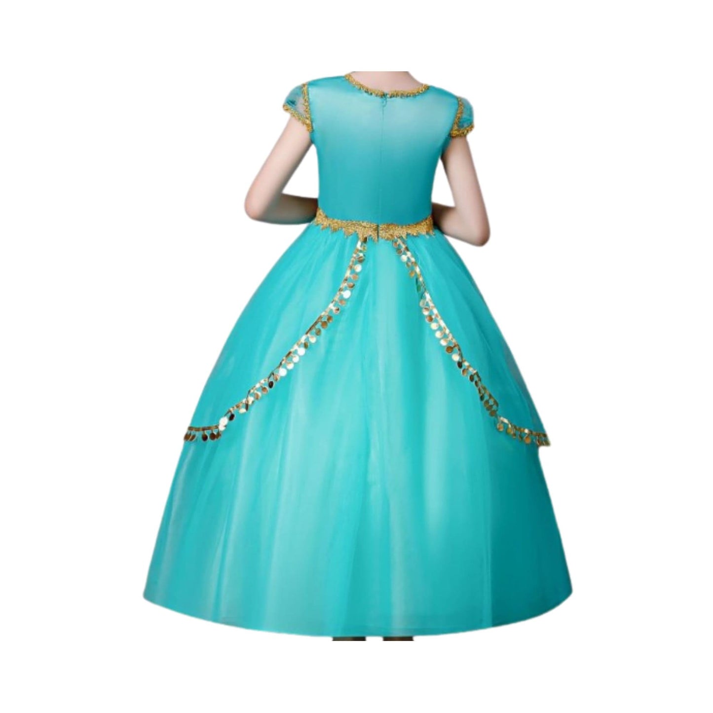 Disney-Inspired Princess Jasmine Birthday Dress