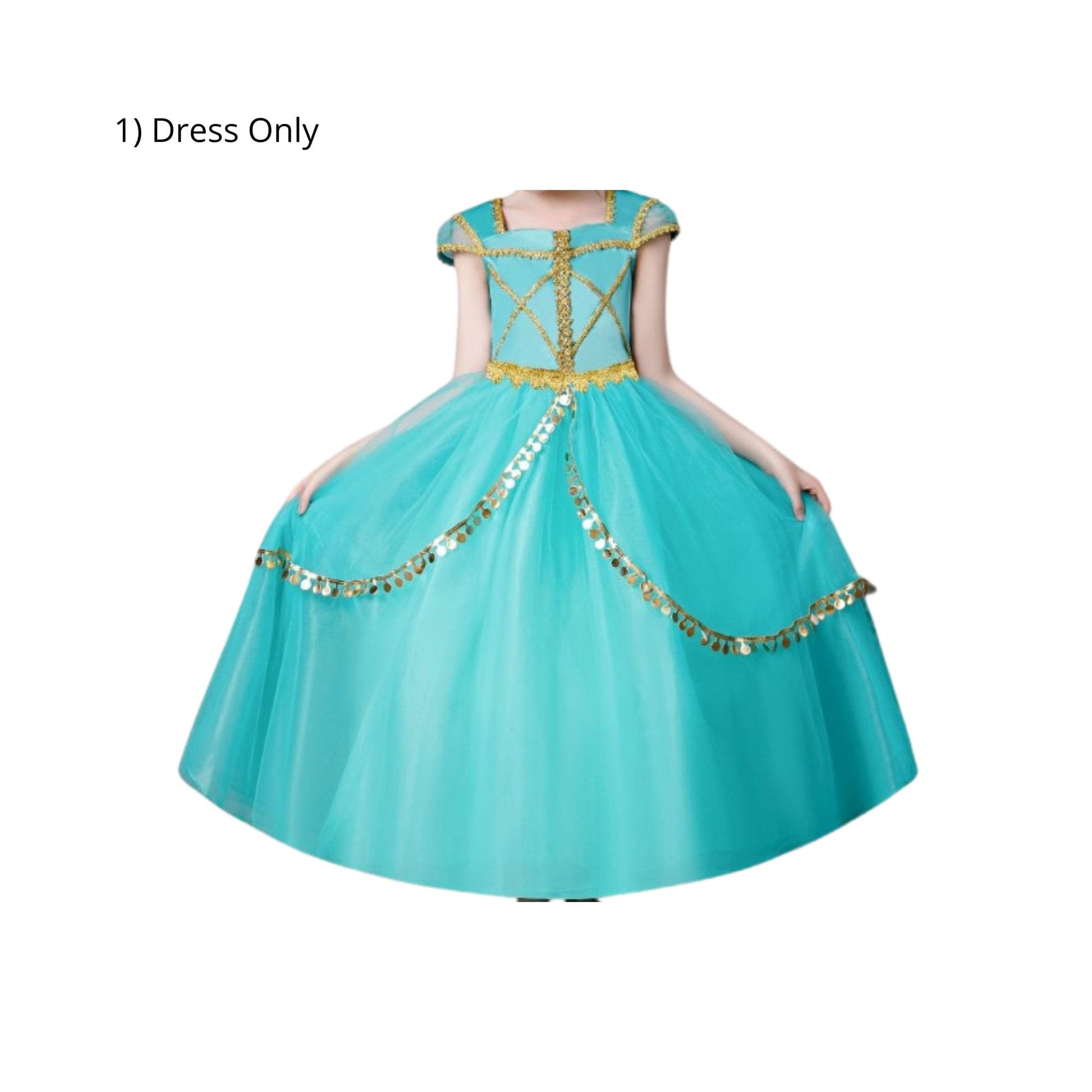 Disney-Inspired Princess Jasmine Birthday Dress Dress Only