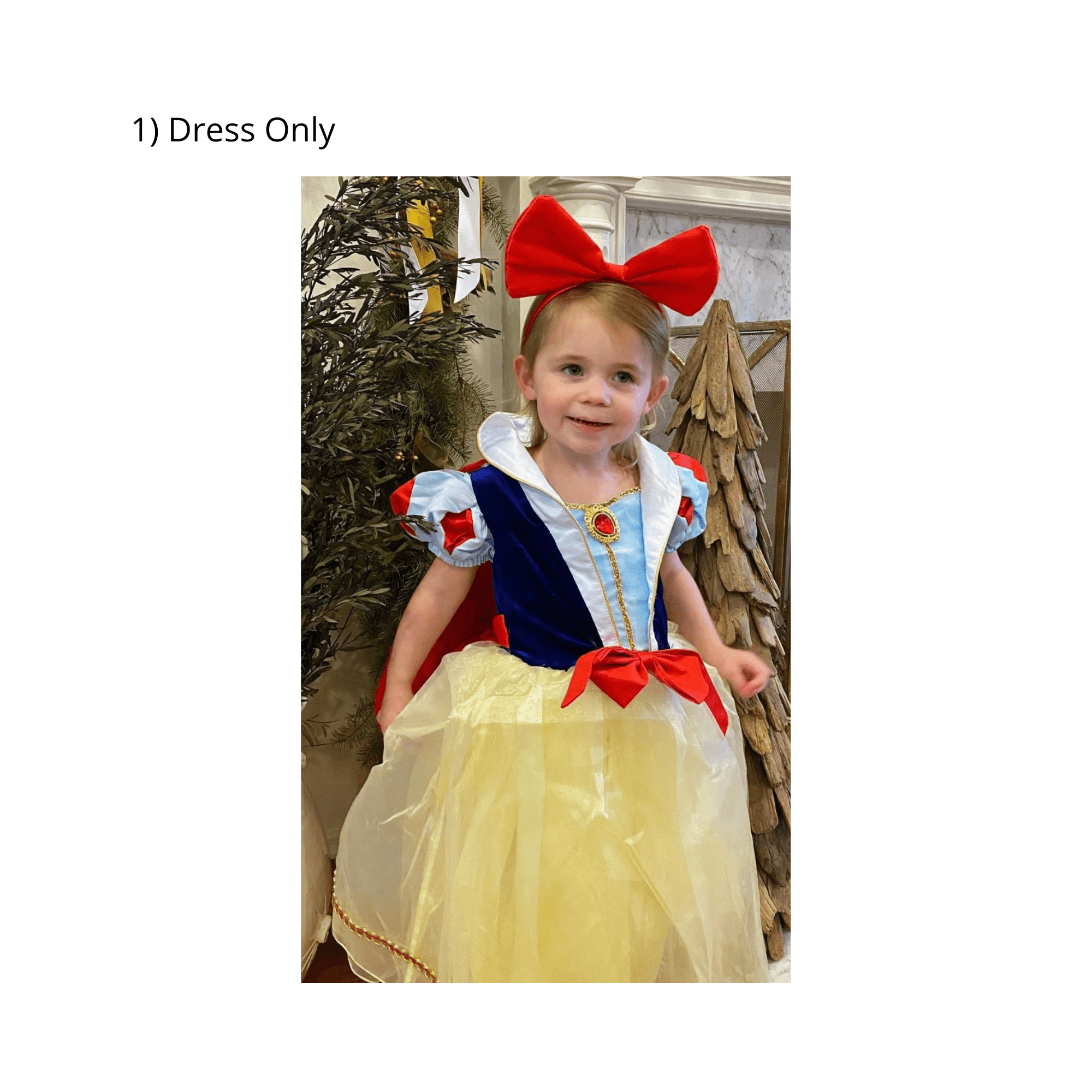 Disney-Inspired Snow White Deluxe Costume for Dress Up or Birthday Dress Only