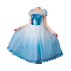 Elsa Blue Ice Queen Dress: Perfect Frozen Birthday, Christmas, or Any Occasion Gift!