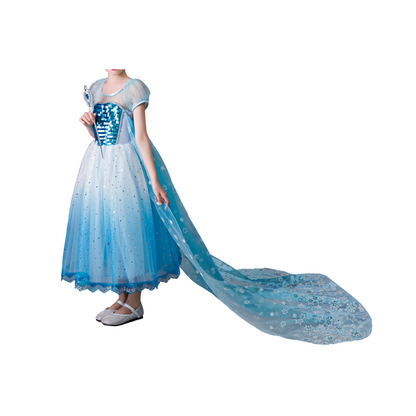 Elsa Blue Ice Queen Dress: Perfect Frozen Birthday, Christmas, or Any Occasion Gift!