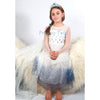Elsa Frozen 2 Girls stylish Birthday Dress and Gift Set