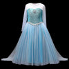 Elsa Frozen Birthday Dress and Gift Set Dress Only