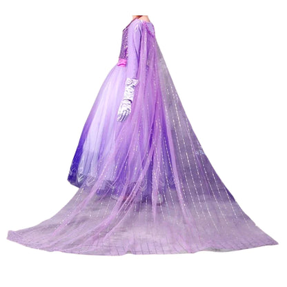 Exquisite Elsa purple dress, Frozen 2 birthday dress + Accessories