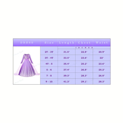 Exquisite Elsa purple dress, Frozen 2 birthday dress + Accessories