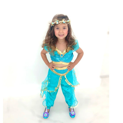 Princess Jasmine Aladdin costume, Jasmine outfit + accessories