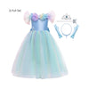Rainbow Butterfly Cinderella Princess Dress and Accessories Full Set