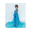 Shimmering Ice Queen: Elsa Costume and Dress for a Magical Experience