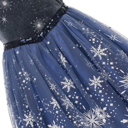 The Ultimate Frozen Gift Set: Elsa Luxury Dress and Accessories