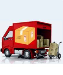 Upgrade to Same-Day Shipping, Rush Order