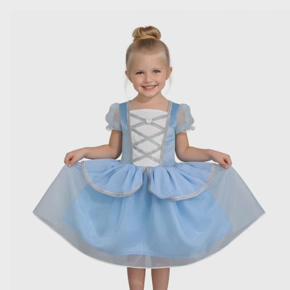 Cinderella Blue and White Costume Everyday Dress