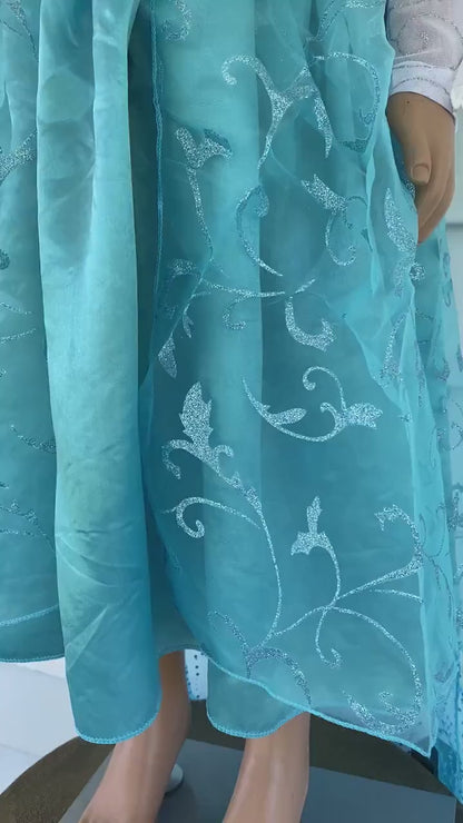 Frozen Princess Elsa Birthday Dress for Girls and Toddlers