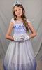 Elsa Frozen 2 Dress and Gift Set for a magical event